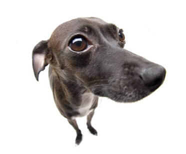 When i met you in the summer.